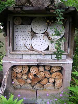 Insektennistwand