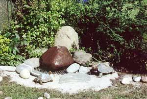 Quellstein
